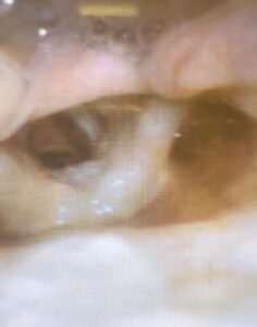 Creative Commons images