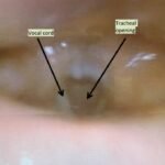 Creative Commons images