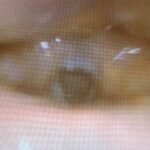 Creative Commons images