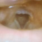 Creative Commons images