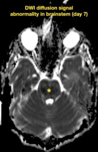 Creative Commons images