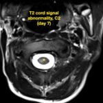 Creative Commons images