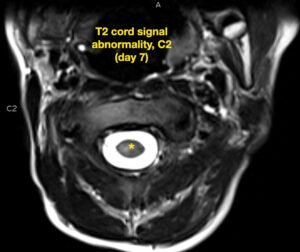 Creative Commons images