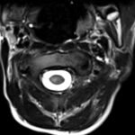 Creative Commons images