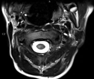 Creative Commons images