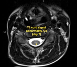 Creative Commons images