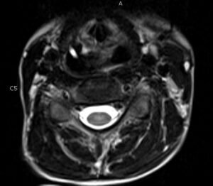 Creative Commons images