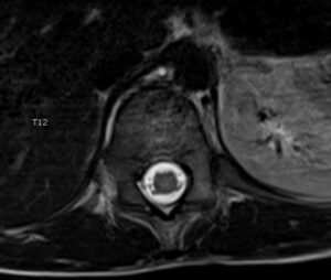 Creative Commons images