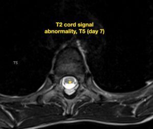 Creative Commons images