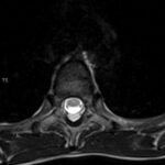 Creative Commons images