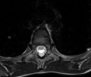 Creative Commons images