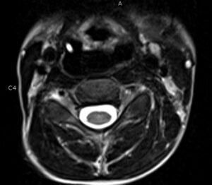 Creative Commons images