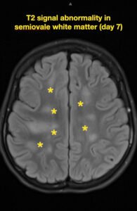 Creative Commons images