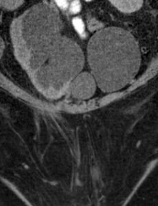 Creative Commons images