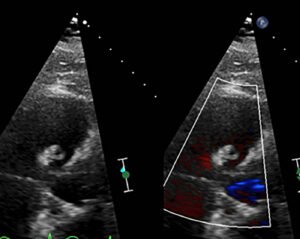 Creative Commons images