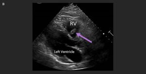 Creative Commons images