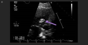 Creative Commons images