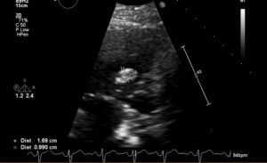 Creative Commons images