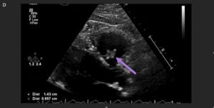 Creative Commons images