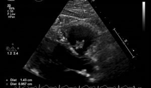 Creative Commons images