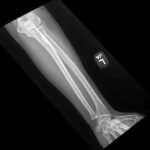 Creative Commons images