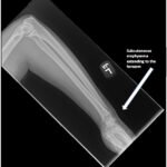 Creative Commons images