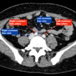 Creative Commons images