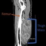 Creative Commons images