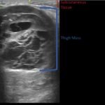 Creative Commons images