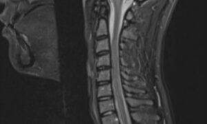 Creative Commons images