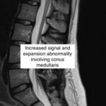 Creative Commons images