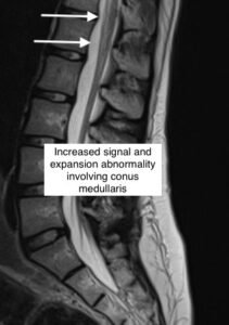 Creative Commons images