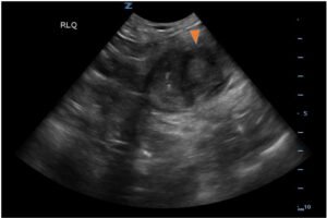 Creative Commons images