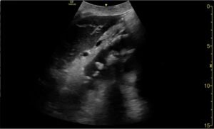 Creative Commons images