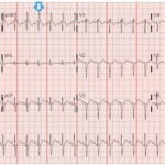 Creative Commons images