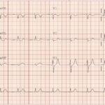 Creative Commons images