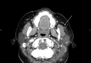 Creative Commons images