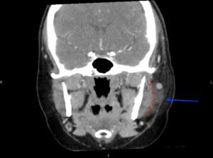 Creative Commons images